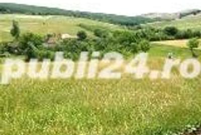 Teren de 6825 mp, în Ortelec - 3