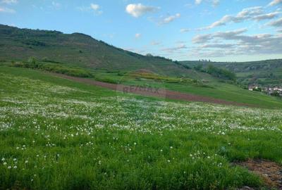 Teren intravilan in Tarnaveni! - 6