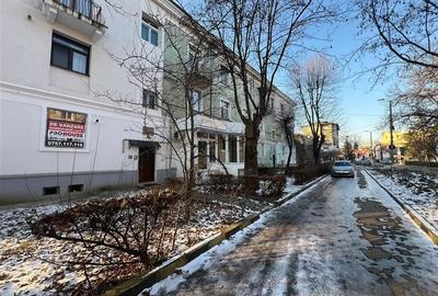 Garsonieră ultracentrală, renovată, vedere parc ? Parcul Cancicov - 10