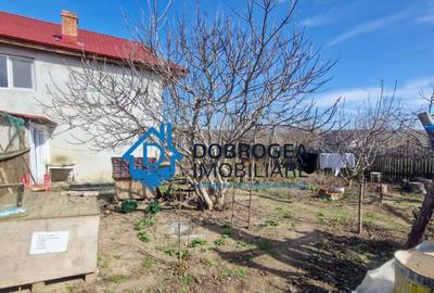 CATALOI - CASA P+E ,6 CAMERE ,TEREN 800 MP - 10