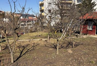 Spațiu comercial, în Bună Ziua - 3