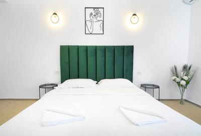 Hotel - 14 Camere - Lipovei - Aradului - 4500 euro - 8