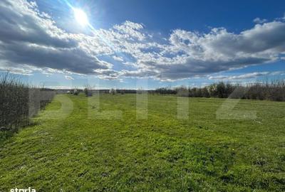 Spațiu comercial, în Râncăciov - 3