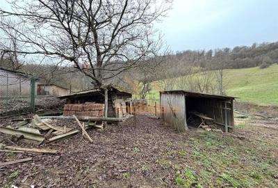 Casă cu 4 camere cu Teren 2846 Mp în Aștileu - 20