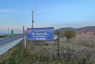 Teren DN73 Rasnov 1441mp! - 4