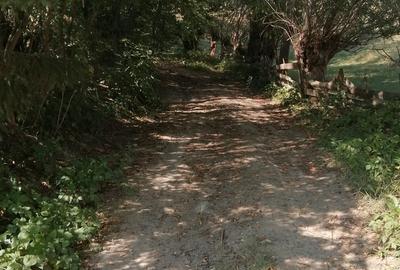 Teren de 1600 mp, în Cacica - 2