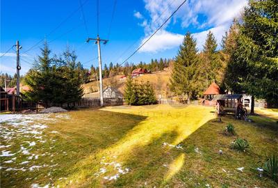 Pensiune cu 10 camere si 3700 mp teren, Arieseni - 3