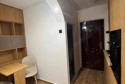 Garsoniera cocheta (camera camin) -zona Liceul de Chimie -Propietar - 4