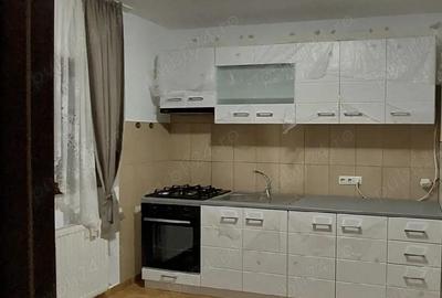 Casă cu Teren 350 Mp în Dumbrăvița - 8