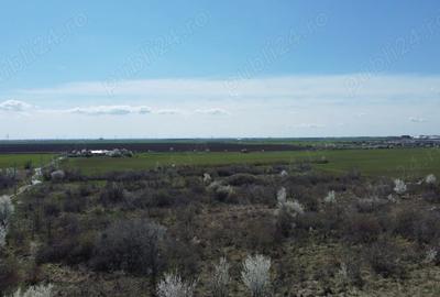 Teren de 93.5 mp, în Glina - 4