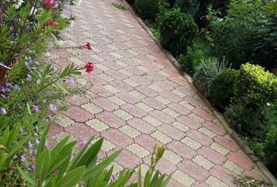 Casa de vanzare ciuperceni Stramba Vulcan gorj - 2