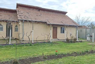 Casă cu 3 camere în Stâlpu - 5
