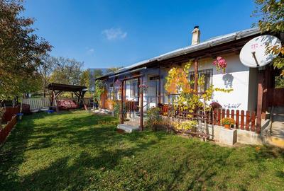 Casu?a frumoasa la ?ara cu toate condi?iile necesare - 10