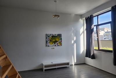 Loft spatios, etaj 12, cu terasa mare gazon natural - 4