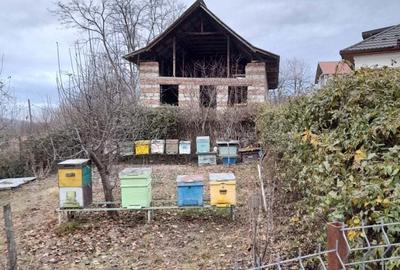 Vand constructie in zona montana ,Corbi ,jud Ag - 4