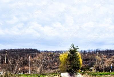 Casă cu 4 camere cu Teren 500 Mp în Drăganu - 1