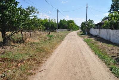 Casă cu 1 camere cu Teren 2832 Mp în Ciulnița - 2