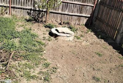 Casă cu 3 camere cu Teren 1300 Mp în Grindu - 9