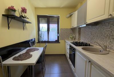 Apartament cu 2 camere semidecomandat, mobilat în Ștefan cel Mare - 10