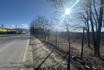 Teren de 50157 mp, în Bartolomeu - 3