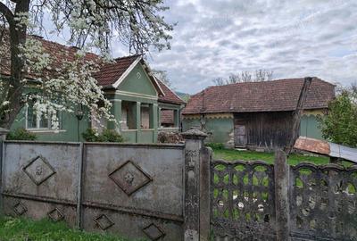 De vanzare doua case parinte?ti pe acela?i teren, in Ca?eiu, jud. Cluj - 3