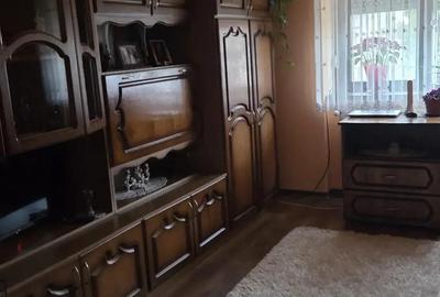 Casa familiala in Balc, Bihor - 3