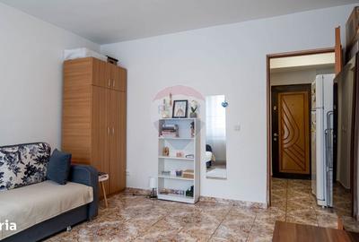 Garsonieră în Pantelimon - 8