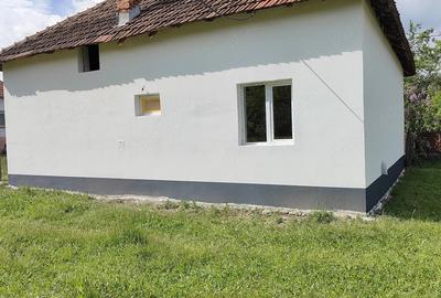 Casă cu 3 camere cu Teren 1500 Mp în Capu Piscului (Godeni) - 6