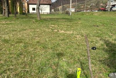 Teren de 1700 mp, în Bulz - 4