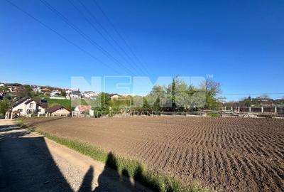 Teren agricol intravilan de 1610 mp, în Sfântu Ilie - 3