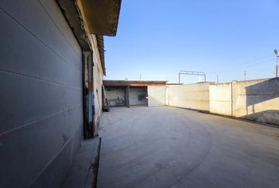Hala industriala - productie / depozitare, suprafata utila 517 mp, Palota - 5