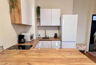 Garsoniera in Centrul Civic - 5