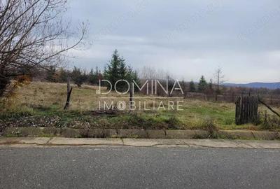 Vanzare teren 5000 mp, intravilan+extravilan, in comuna Crasna - 1