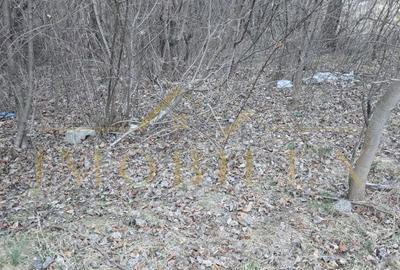 Spațiu comercial, în Central