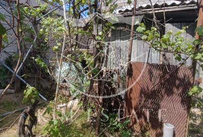 Casa 4 camere Coiciu - 17