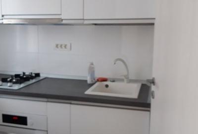 Inchiriere garsoniera lujerului renovata complet, 390 euro - 6