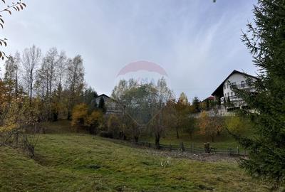 Teren de Vis in Bran - 1000mp Plat, Liniste Absoluta si Aer Curat - 14