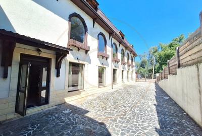 Oportunitate-Cladire comerciala HoReCa in Domnesti-Arges - 2