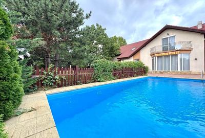 Individual villa with swimming pool Iancu Nicolae - 1