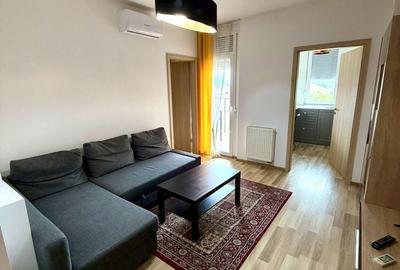 Apartament cu 2 camere semidecomandat în Subcetate - 1
