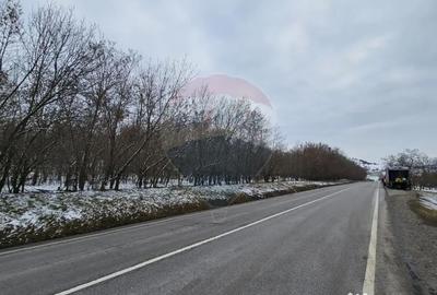 Teren de 10000 mp, în Rădășeni - 13