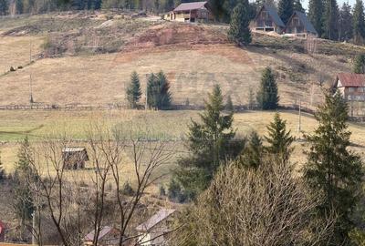 Teren Construcții intravilan de 6500 mp, în Arieșeni - 10