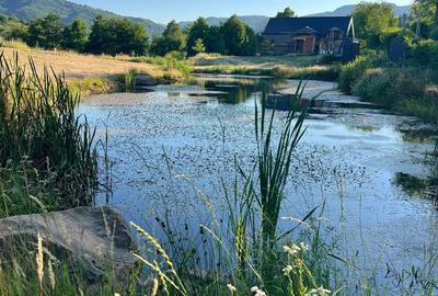 Casă cu 3 camere în Sighetu Marmației - 8