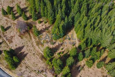 Teren Construcții intravilan de 7600 mp, în Beliș - 3