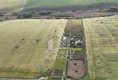 Farmhouse la 14km de Timisoara, teren agricol 1ha - 1