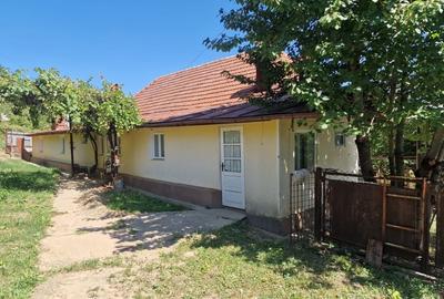 Casa in mediu rural cu teren - 15