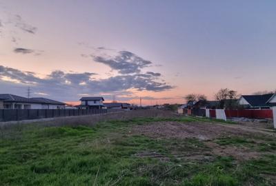 Teren de 7285 mp, în Șerbănești - 4