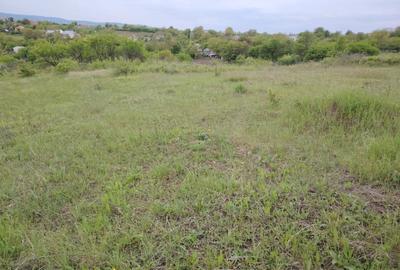 Teren Construcții intravilan de 540 mp, în Miroslava - 3