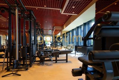 CORTINA NORH/PRIMA INCHIRIERE/ SPATII DEPOZITARE/ PARCARE INCLUSA - 13