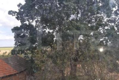 Casă cu 5 camere cu Teren 1008 Mp în Bucovăț - 12